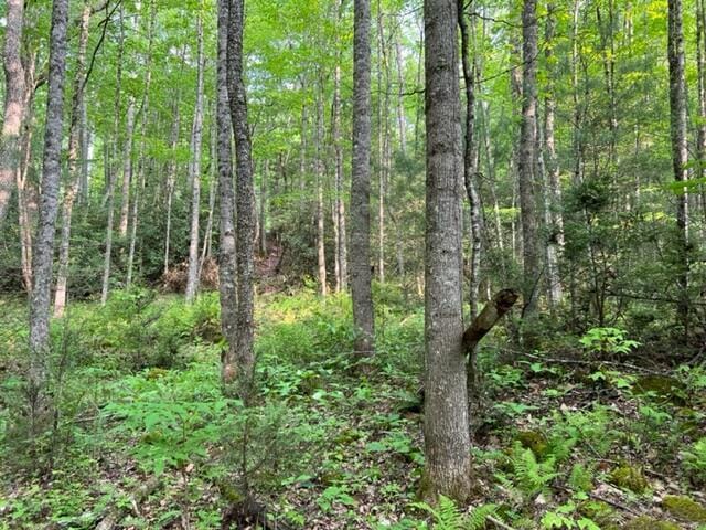 00 Sink Valley Rd, Butler, TN 37640 - photo 4