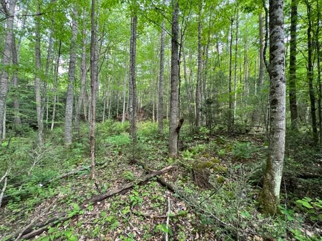 00 Sink Valley Rd, Butler, TN 37640 - photo 5