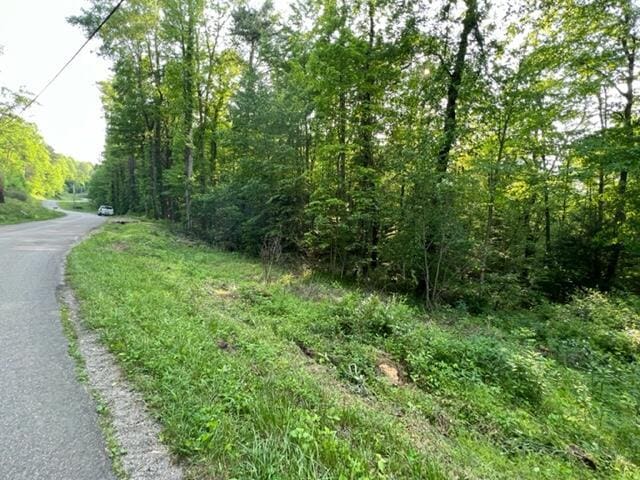 00 Sink Valley Rd, Butler, TN 37640 - photo 8