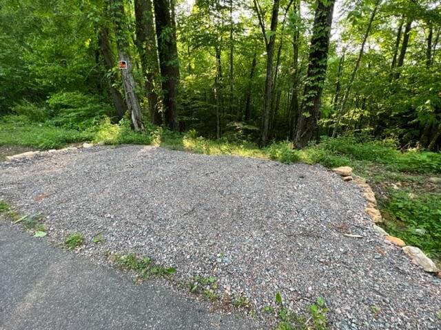 00 Sink Valley Rd, Butler, TN 37640 - photo 9