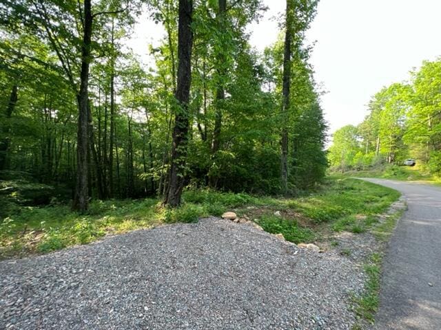 00 Sink Valley Rd, Butler, TN 37640 - photo 10