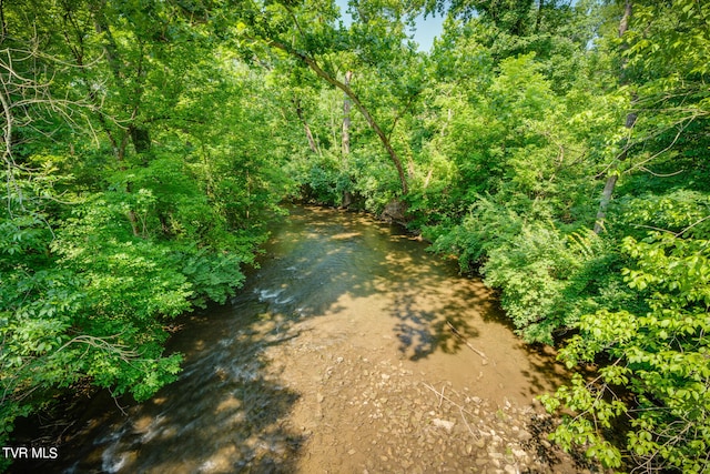 TBD Maple Tree Dr, Bristol TN, 37620 land for sale