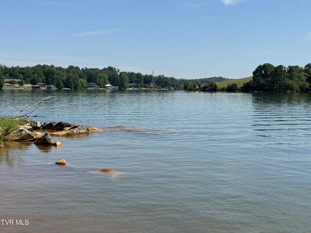 341 E Haw Ridge Rd, Piney Flats, TN 37686 - photo 7