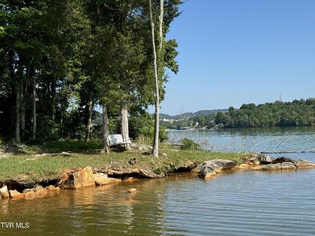 341 E Haw Ridge Rd, Piney Flats, TN 37686 - photo 8