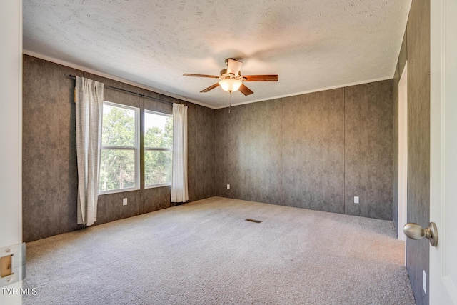 341 E Haw Ridge Rd, Piney Flats, TN 37686 - photo 20