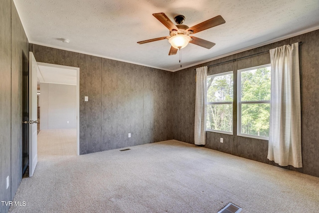 341 E Haw Ridge Rd, Piney Flats, TN 37686 - photo 21