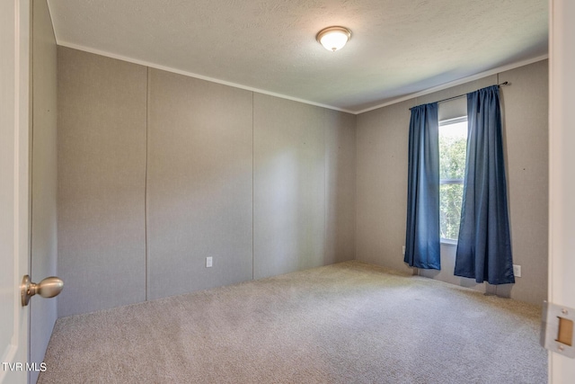 341 E Haw Ridge Rd, Piney Flats, TN 37686 - photo 32