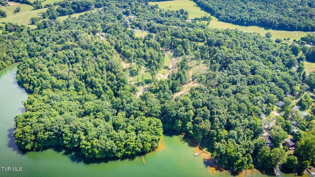 341 E Haw Ridge Rd, Piney Flats, TN 37686 - photo 55