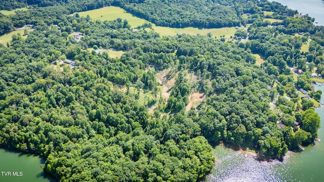 341 E Haw Ridge Rd, Piney Flats, TN 37686 - photo 56