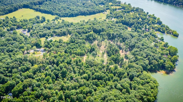 341 E Haw Ridge Rd, Piney Flats, TN 37686 - photo 57