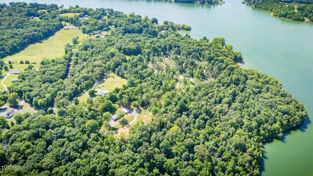 341 E Haw Ridge Rd, Piney Flats, TN 37686 - photo 58