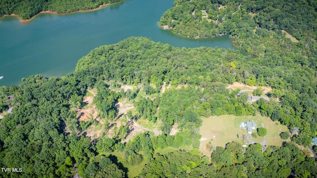 341 E Haw Ridge Rd, Piney Flats, TN 37686 - photo 60