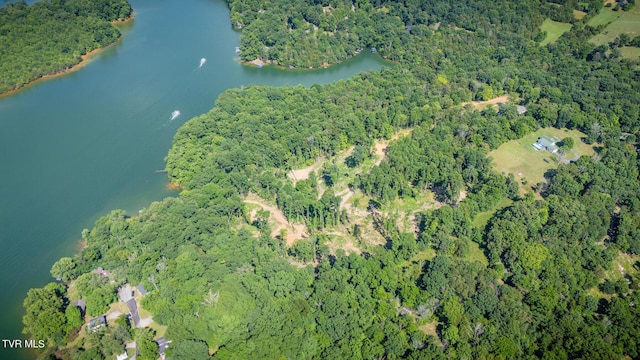 341 E Haw Ridge Rd, Piney Flats, TN 37686 - photo 61