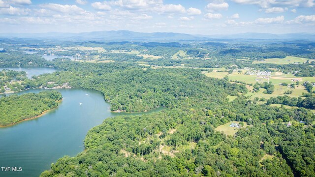 341 E Haw Ridge Rd, Piney Flats, TN 37686 - photo 62