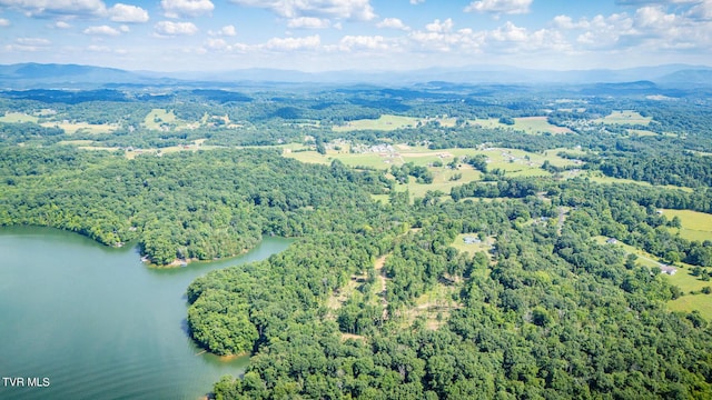341 E Haw Ridge Rd, Piney Flats, TN 37686 - photo 63