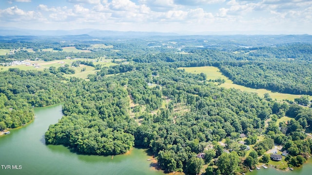341 E Haw Ridge Rd, Piney Flats, TN 37686 - photo 64