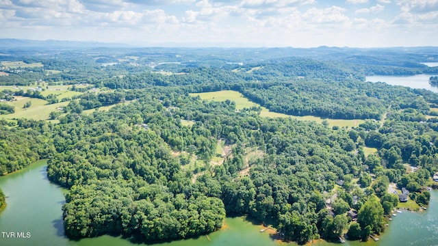 341 E Haw Ridge Rd, Piney Flats, TN 37686 - photo 65