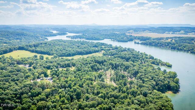341 E Haw Ridge Rd, Piney Flats, TN 37686 - photo 66