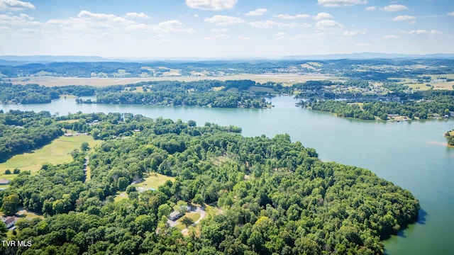 341 E Haw Ridge Rd, Piney Flats, TN 37686 - photo 3