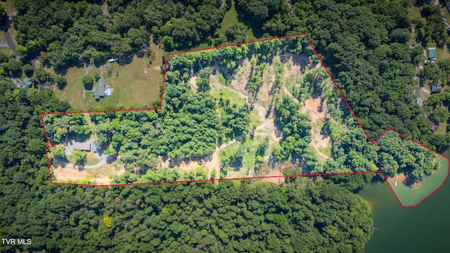 341 E Haw Ridge Rd, Piney Flats, TN 37686 - photo 68