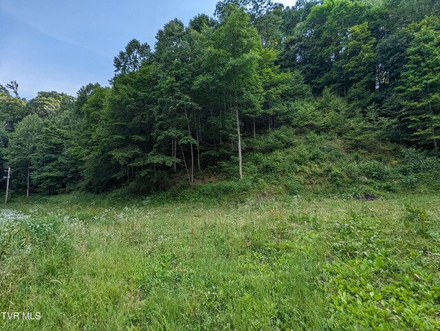 TBD New Hurland Church Rd, Hiltons VA, 24258 land for sale