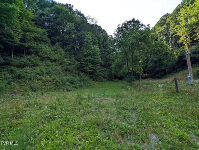 Listing photo 2 for TBD New Hurland Church Rd, Hiltons VA 24258