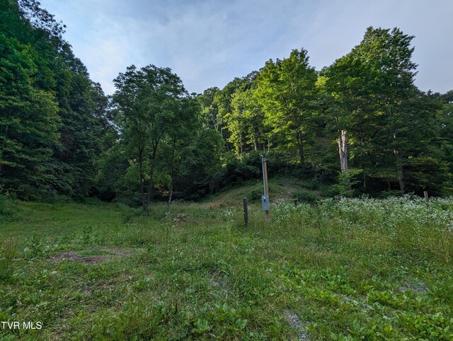 TBD New Hurland Church Rd, Hiltons, VA 24258 - photo 3