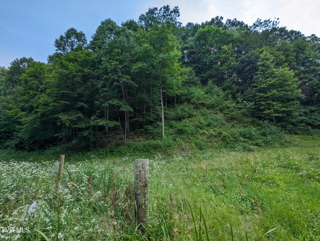 TBD New Hurland Church Rd, Hiltons, VA 24258 - photo 4