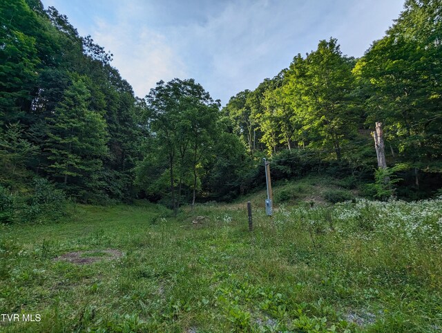 TBD New Hurland Church Rd, Hiltons, VA 24258 - photo 5