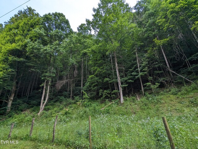 TBD New Hurland Church Rd, Hiltons, VA 24258 - photo 6