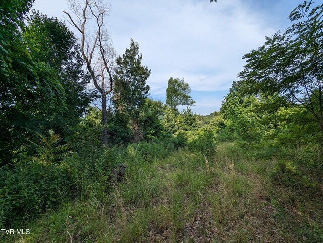 TBD New Hurland Church Rd, Hiltons, VA 24258 - photo 8