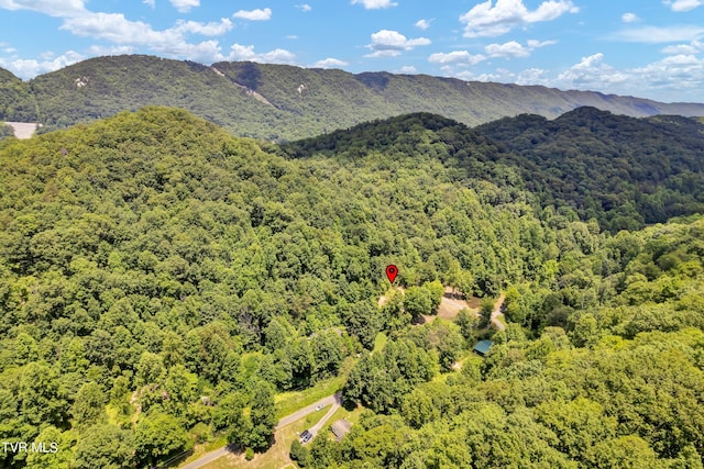 property view of mountains