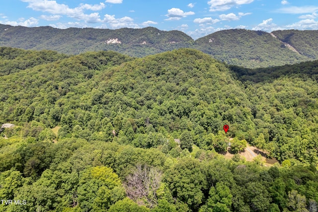 property view of mountains