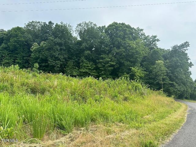 TBD Flora Rd, Rogersville TN, 37857 land for sale