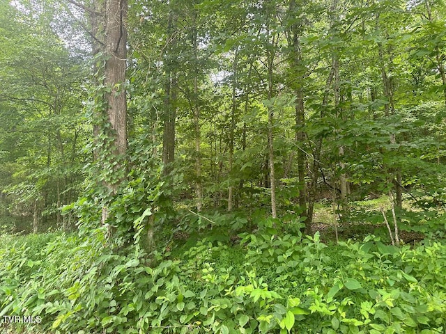 Listing photo 2 for TBD Flora Rd, Rogersville TN 37857