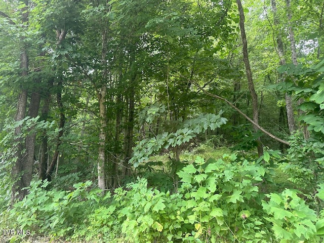 Listing photo 3 for TBD Flora Rd, Rogersville TN 37857