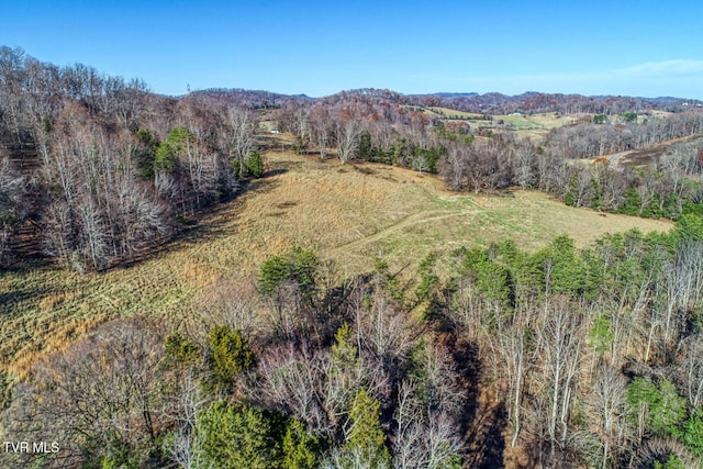 TBD2 Chestnutt Town Rd, Rogersville, TN 37857