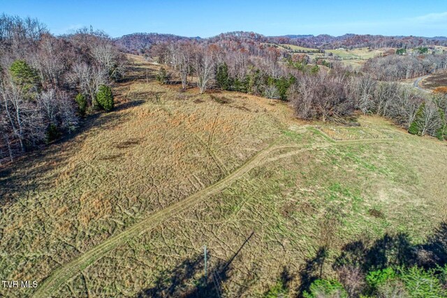 TBD2 Chestnutt Town Rd, Rogersville, TN 37857