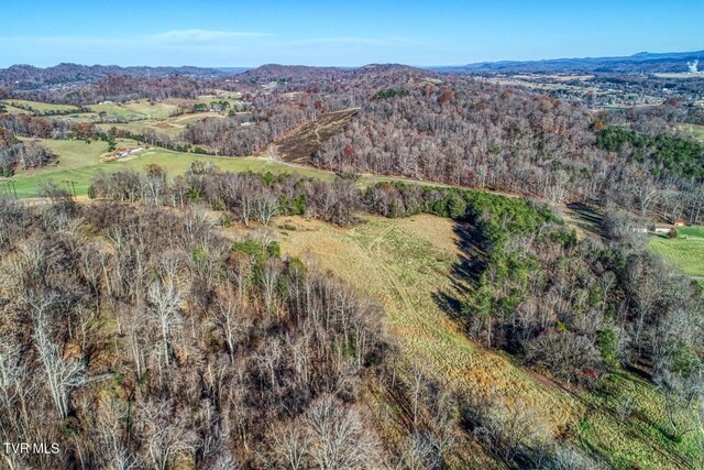 TBD2 Chestnutt Town Rd, Rogersville, TN 37857