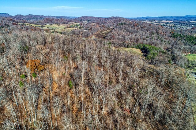 TBD2 Chestnutt Town Rd, Rogersville, TN 37857 - photo 6