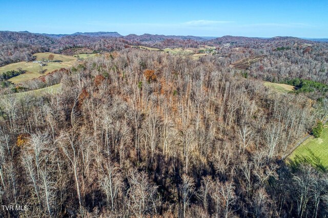 TBD2 Chestnutt Town Rd, Rogersville, TN 37857