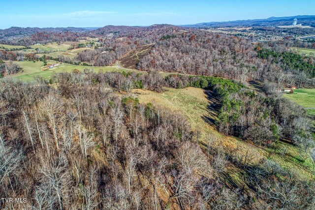 TBD2 Chestnutt Town Rd, Rogersville, TN 37857