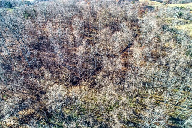 TBD2 Chestnutt Town Rd, Rogersville, TN 37857