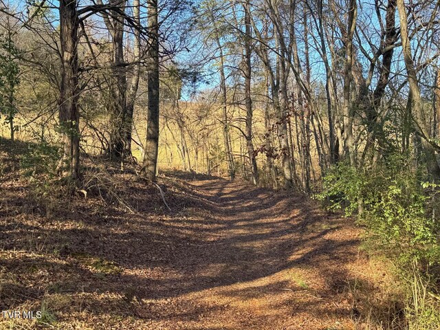 TBD2 Chestnutt Town Rd, Rogersville, TN 37857