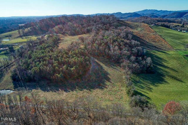 TBD2 Chestnutt Town Rd, Rogersville, TN 37857