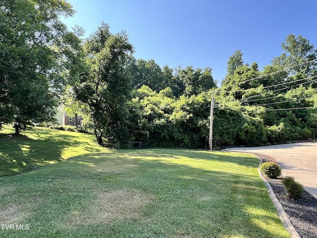 Listing photo 3 for TBD Love St, Elizabethton TN 37643