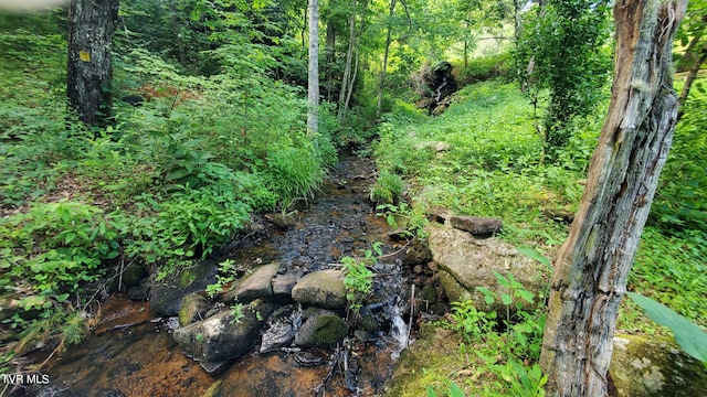 view of landscape