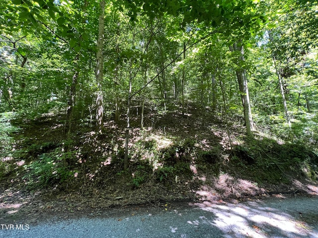 TBD Canaan Rd, Butler TN, 37640 land for sale