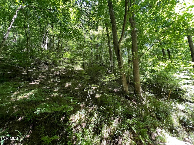 Listing photo 2 for TBD Canaan Rd, Butler TN 37640