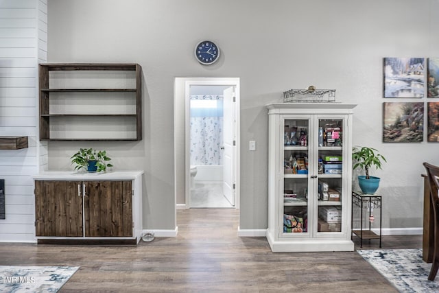 interior space featuring hardwood / wood-style floors